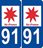 JINTORA - 2 Stickers Autocollant Style Plaque Immatriculation département 91 102x46 mm
