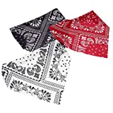 Hemoton 3Pcs Tête Foulard Foulard Femmes Mouchoirs en Tissu Foulards en Plein Air Foulards de Soie Foulards Fille Élastique Enveloppements Coulisses Gauze Écharpes pour Femmes