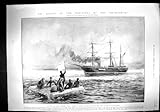 Copie Antique du Bateau H.M.S d'Elingamite de 1903 Survivants de Délivrance. Ra de Vie de Pingouin…