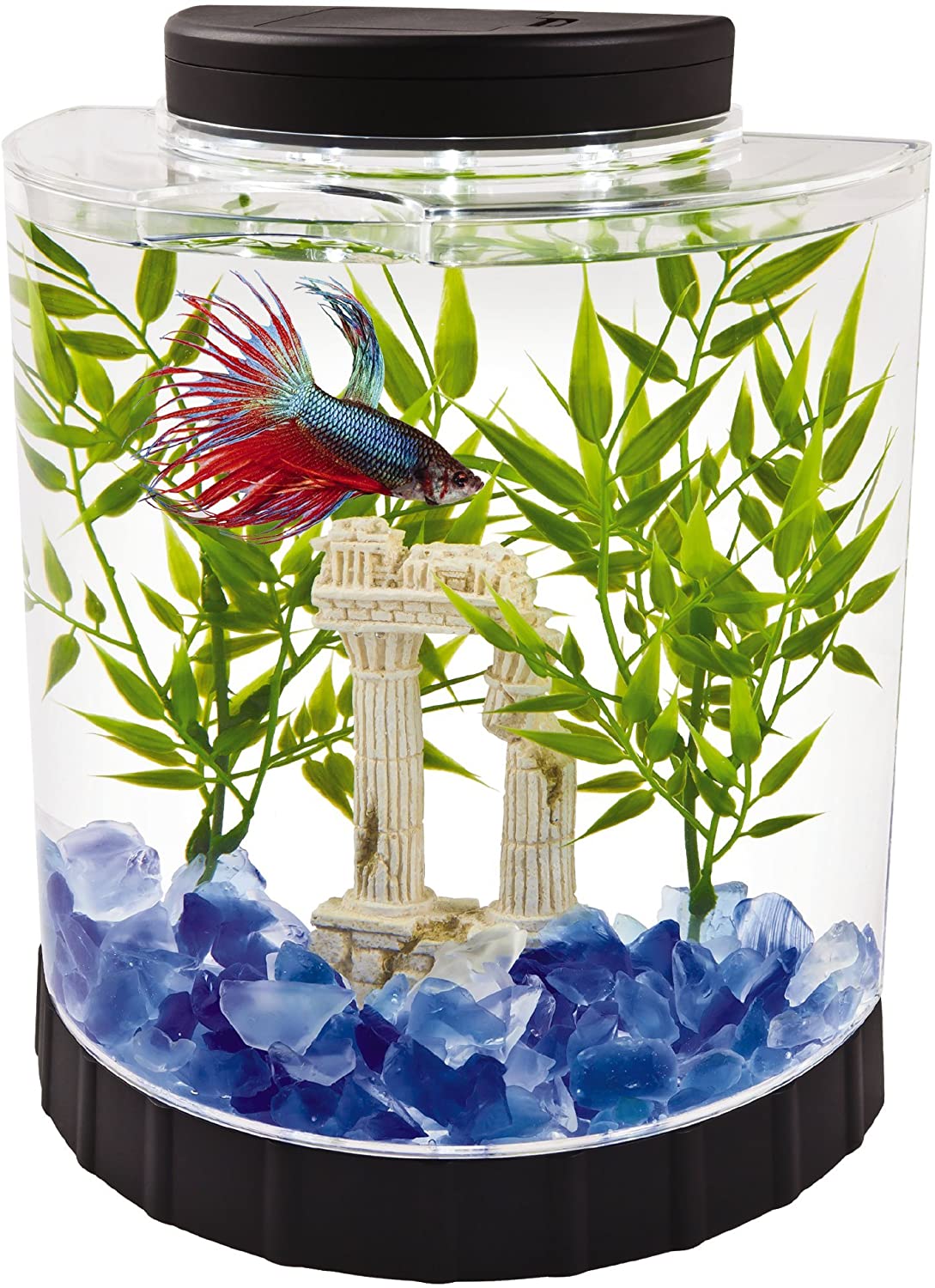 Tetra LED Half Moon Betta Aquarium, 1.1-Gallon