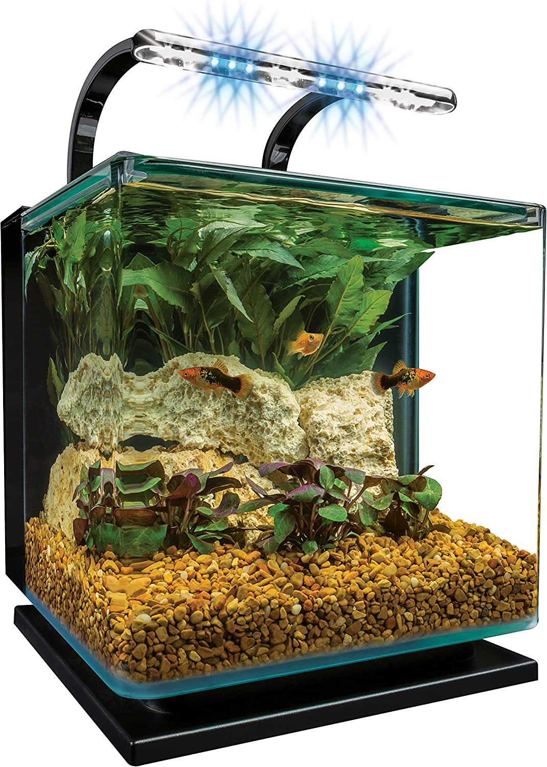 Marineland Contour Glass Aquarium Kit with Rail Light, 3-Gallon by Marineland